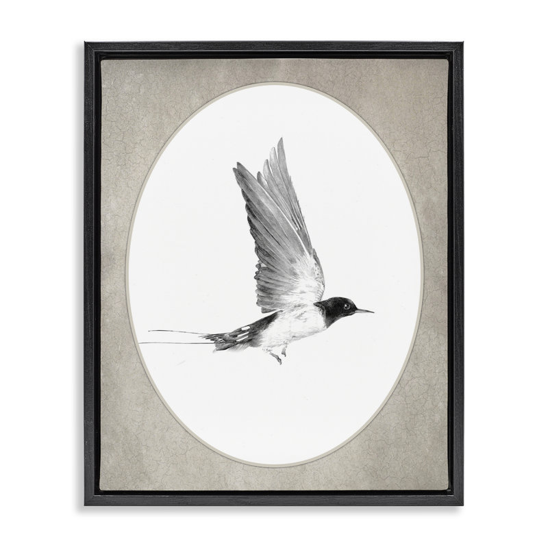 Oiseau en vol, art mural encadré sur toile flottante, H 31 po x l 25 po, Cadre flottant noir de jais