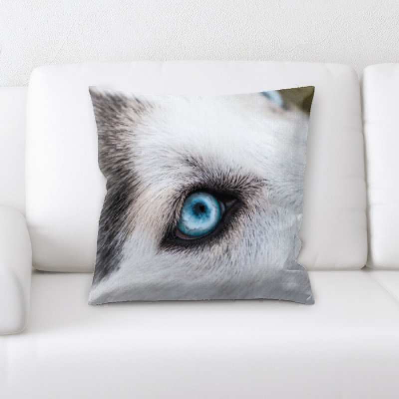 Coussin pour chien
