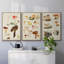 Champignon X-91887167-91887168