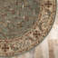 Tapis d'intérieur vert à motif floral et à volute de style oriental traditionnel-574335120