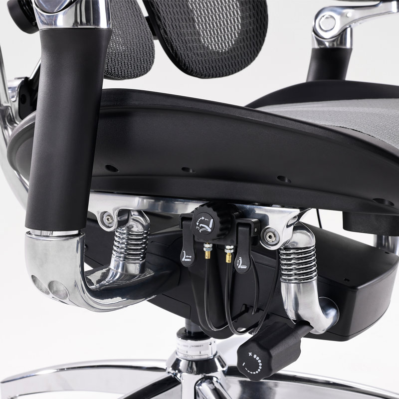 Ergonomic Office Chair, with Dual Dynamic Lumbar Support, 6D Coordinated Armrest, Black/Silver, Black