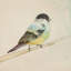 Pretty Little Bird II Print by Michelle Bennett-26705999-26705998
