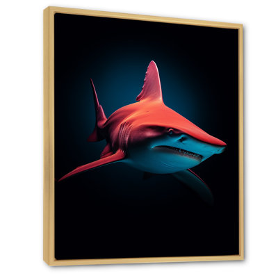 " Red Shark Photo Haven "
