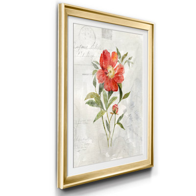 Lin pivoine - Reproduction d'art sur papier encadrée