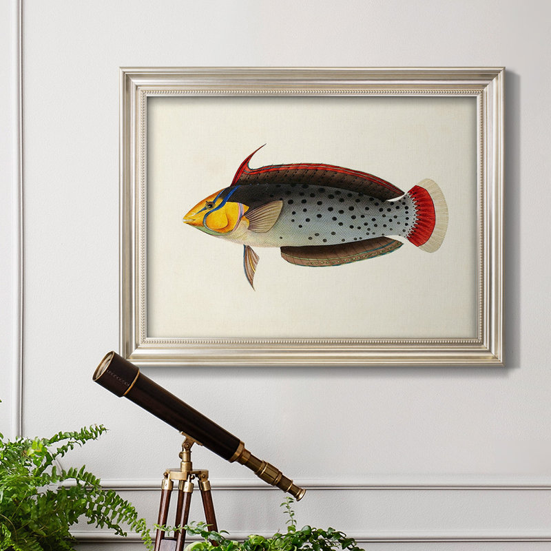 Collection de poissons tropicaux IV - Collection de poissons tropicaux - Imprimé, L 25 po x H 21 po