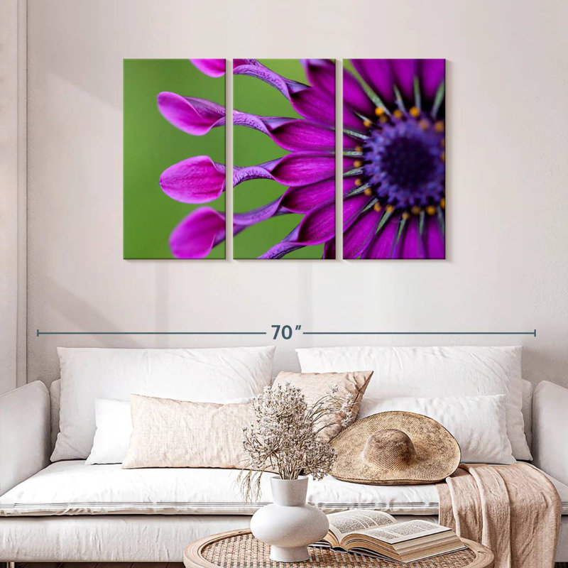 Marguerite mauve exotique Harnek, H 28 po x l 45 po