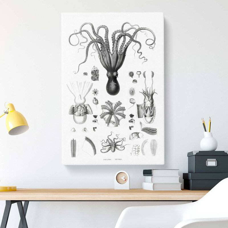 Octopus Illustrations by E.F. Jomard - Wrapped Canvas Print, 76cm H x 50cm W x 3cm D