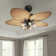 Alapaha 52'' Ceiling Fan with Light Kit