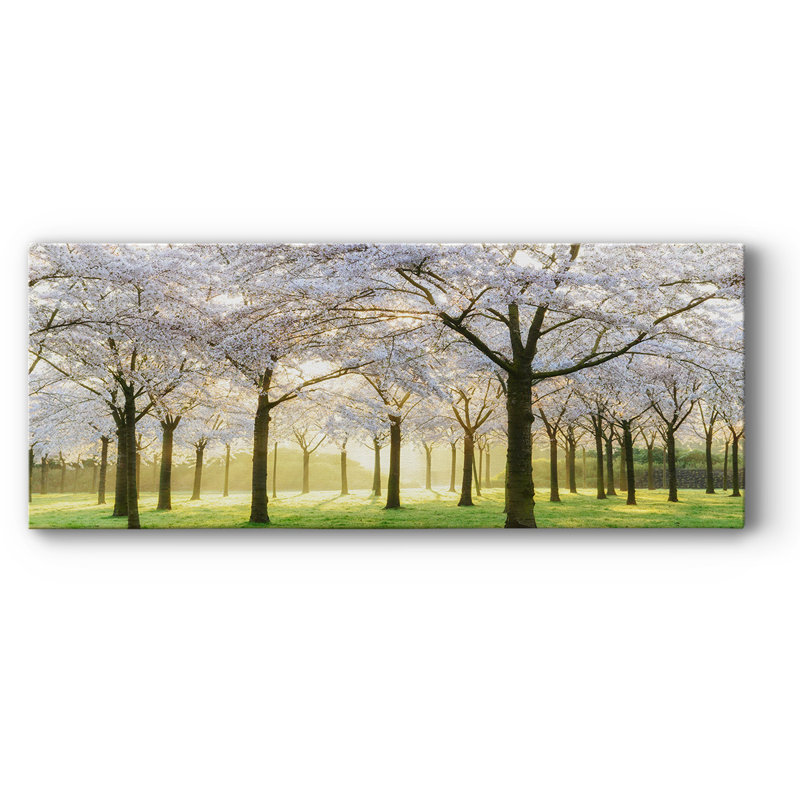Arbres de mariée sur toile, H 24 po x l 60 po x P 1,5 po