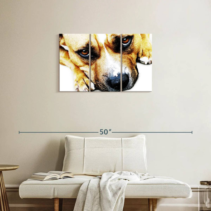 Brampt Bull Terrier Eyes, 20" H x 33" W