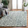 Dashanna Hand Tufted Wool Floral Rug