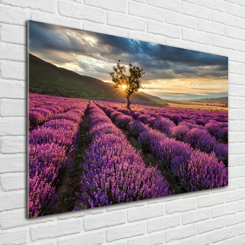 Lavender Field - No Frame Print on Glass