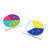 Fraction Segments Magnetic Activities Learning