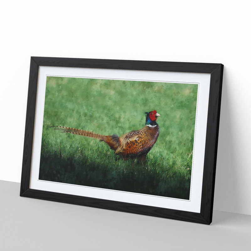 Pheasant Bird Vol.2 - Framed Print, Black Framed, 36cm H x 48cm W x 2cm D