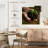 Senne New Seedling Sprouting-109215258