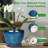 Ceramic Modern Glaze Succulent Planter Pot-375652743