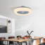 55cm Ceiling Fan with LED Lights-1099223142