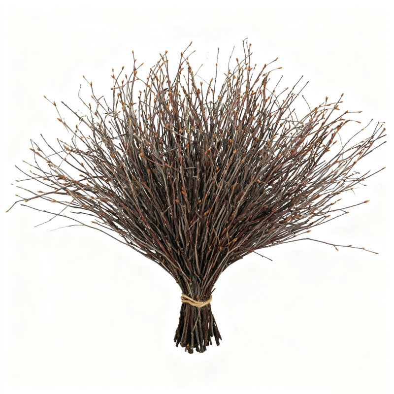 200 brindilles de bouleau séché naturel de 17 pouces, grandes branches de bouleau pour un décor de vase, arrangements floraux de bricolage et centres de mariage