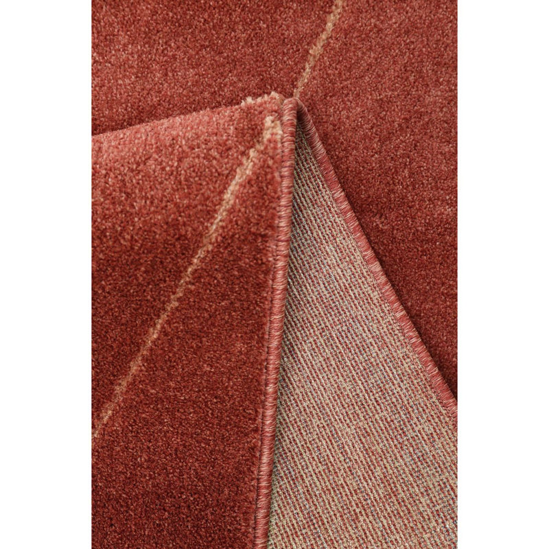 Runner Takaiyah Oriental Area Rug, Rectangle 200 x 290cm