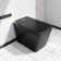 Intelligent Sitting Bathroom with Wireless Remote Control
