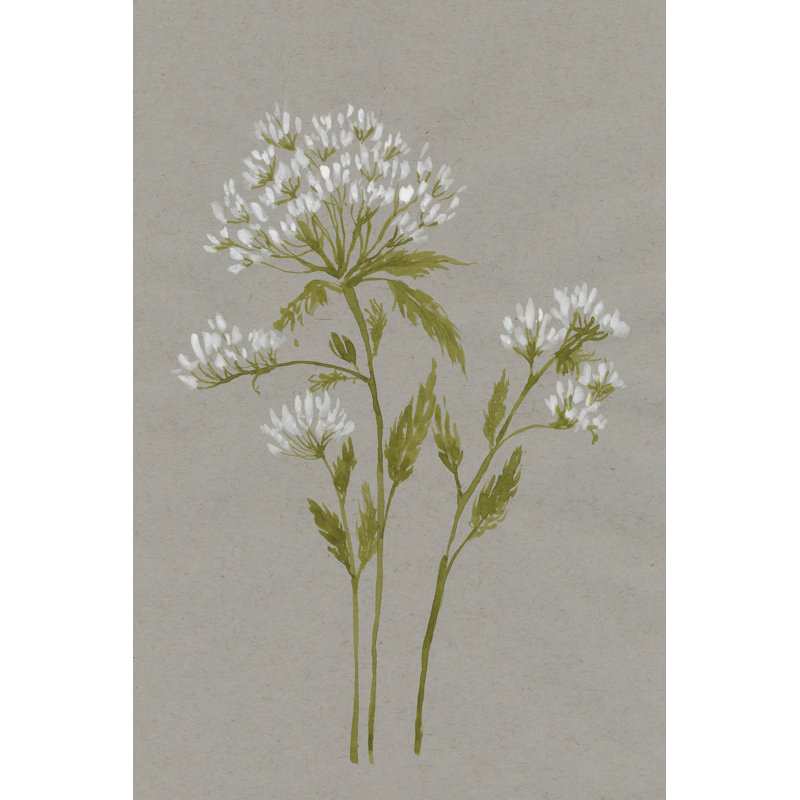 White Field Flowers IV - Painting, 46cm H x 30cm W, Black Floater Framed