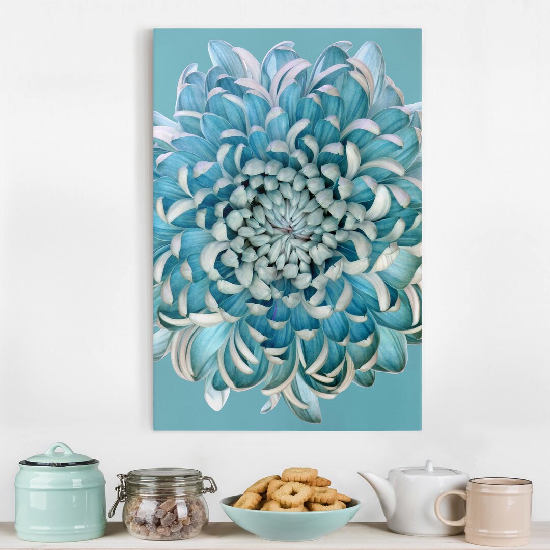 Leinwandbild Blaue Chrysantheme