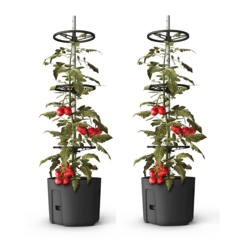 Bawan Planter - Self-watering Tomato Climber Pot with Trellis, 109cm H x 29cm W x 29cm D, 2