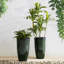 Ensemble de 2 pots à fleurs surdimensionnés en faux céramique vert-123175663-107079648