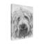 Publicité rétro sur toile tendue Adelphi «Labradoodle»-26108487