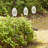 Low Voltage Solar Powered LED Pathway Light Pack