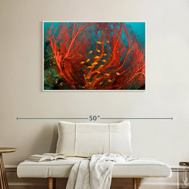 Corail de feu, Cadre flottant blanc, 40 po x 27 po