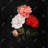 Small bundle of roses - 18"x18" Throw pillow - Poly twill - Print on demand-74339470-105460140