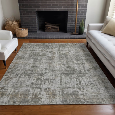 Machine Washable Indoor/Outdoor Claudian ACN1627 Pewter Rug