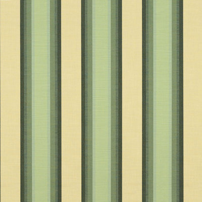 Tissu Sunbrella à rayures 46 po