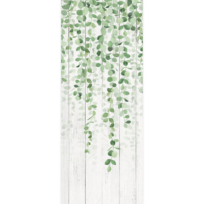 Feuilles d'eucalyptus suspendues, verdure fraîche