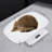 22lbs Digital Animal Scale