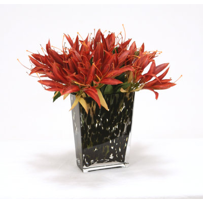 Polysilk Arrangement