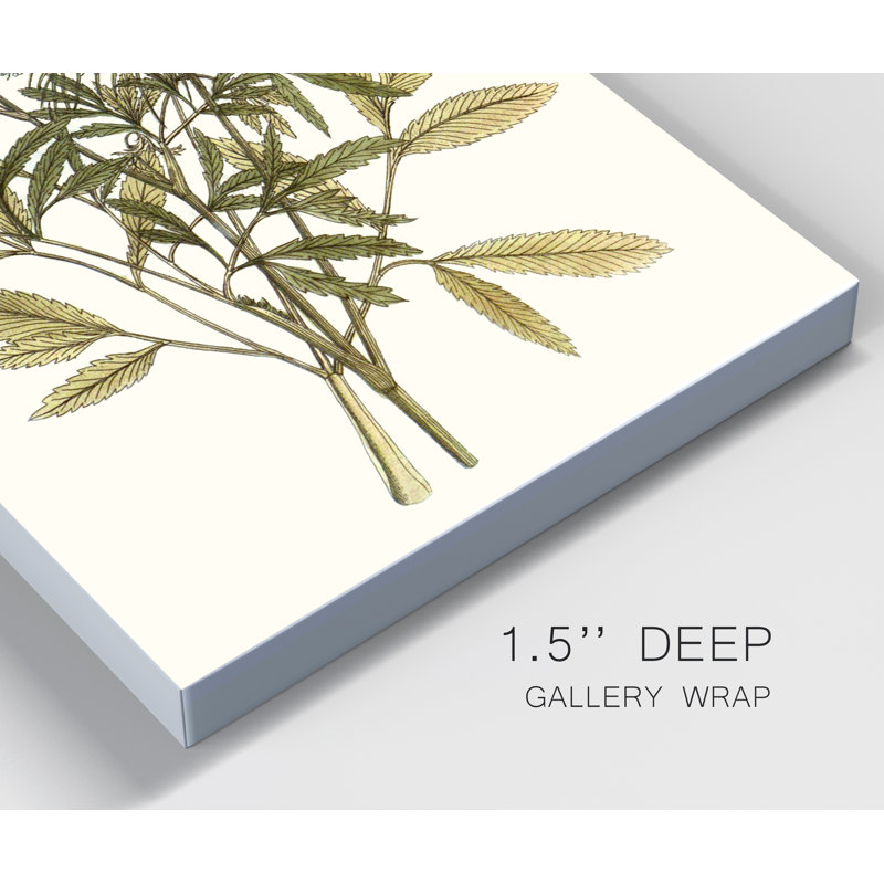 « Lacy Leaves I », reproduction d’art sur toile tendue, H 20 po x l 16 po x P 1 po