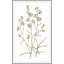 Sweet Preservation 1 Print-2011677279
