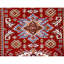 Wool Oriental Area Rug