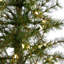 Artificial Christmas Tree with 50 Clear LED Lights Set in A Burlap Base