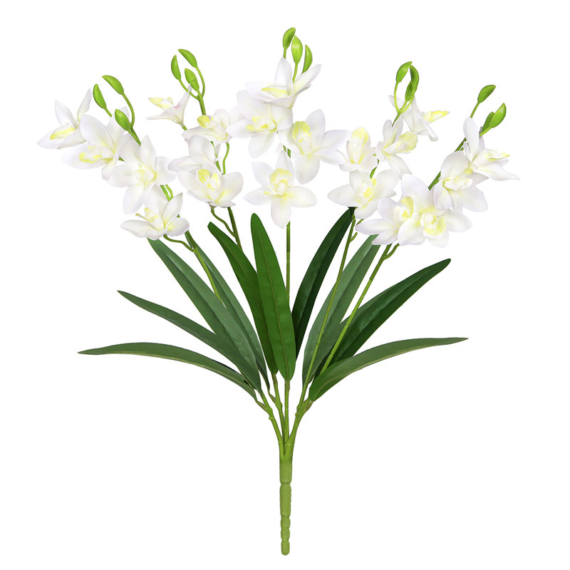 Tige d'orchidée, Blanc crème