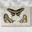Toile tendue avec craquelures I-Gallery-2012426379
