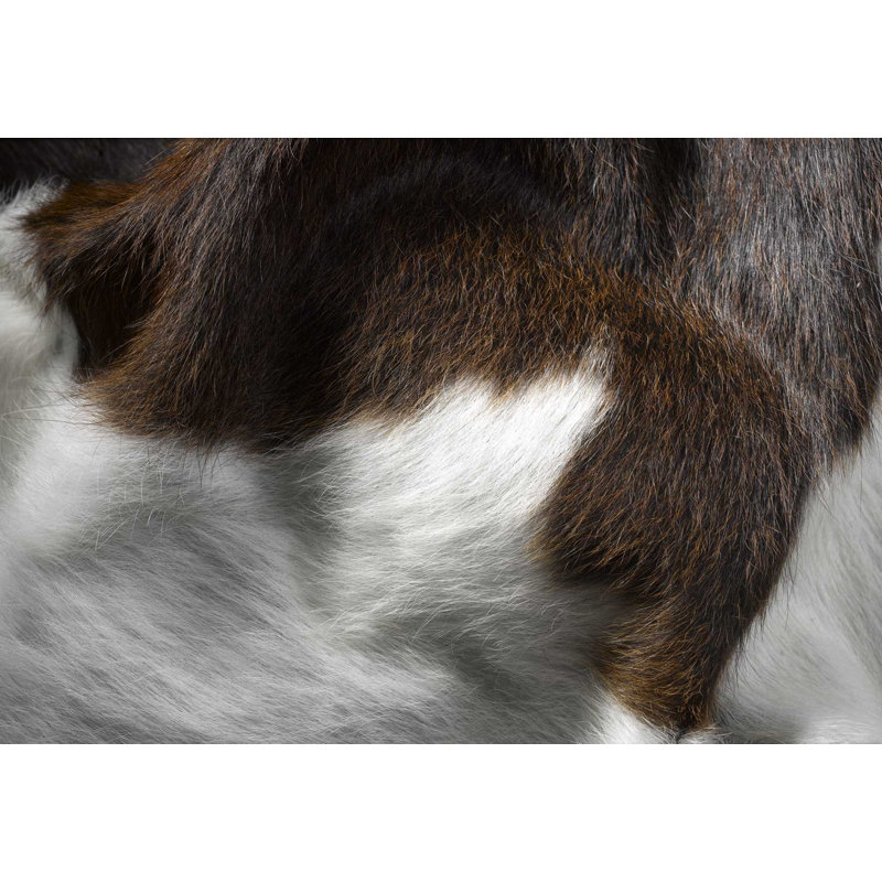Abhinav Cowhide Animal Print Indoor Rug, Novelty 6' x 7'