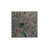 Square 4'