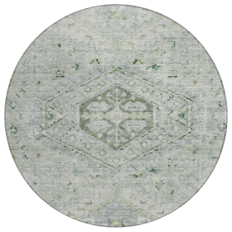 Machine Washable Indoor/Outdoor Jadiel ACN2357 Traditional Rug, Round 8'