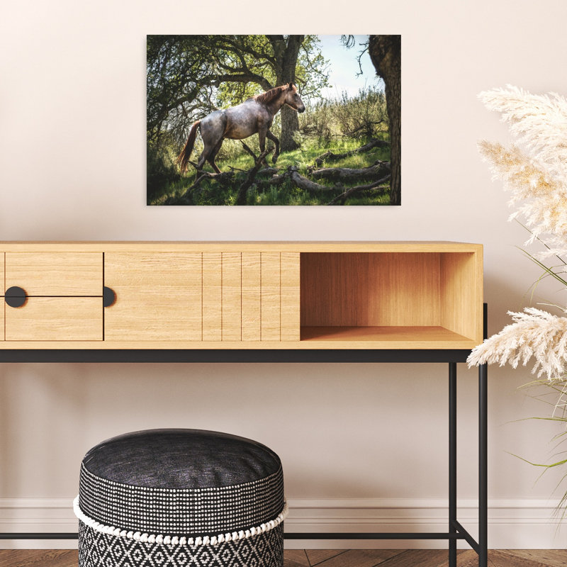 Art sauvage, cheval sauvage dans la forêt, 16" H x 24" W