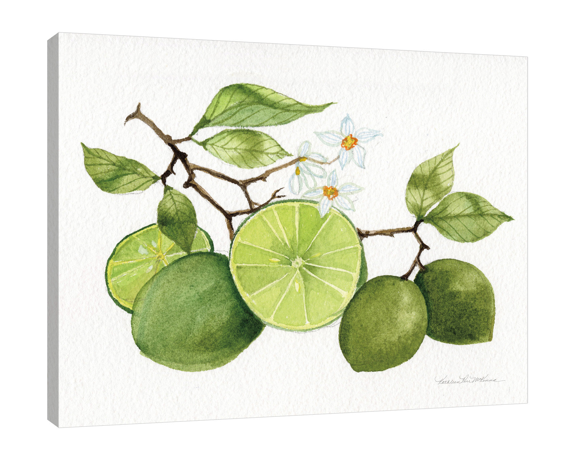 Gracie Oaks Aylei 'Citrus Garden VII' Graphic Art Print on Wrapped ...