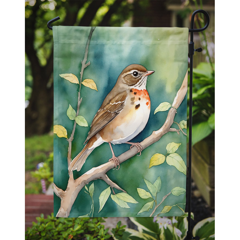 Drapeau de jardin, Grive du Vermont
