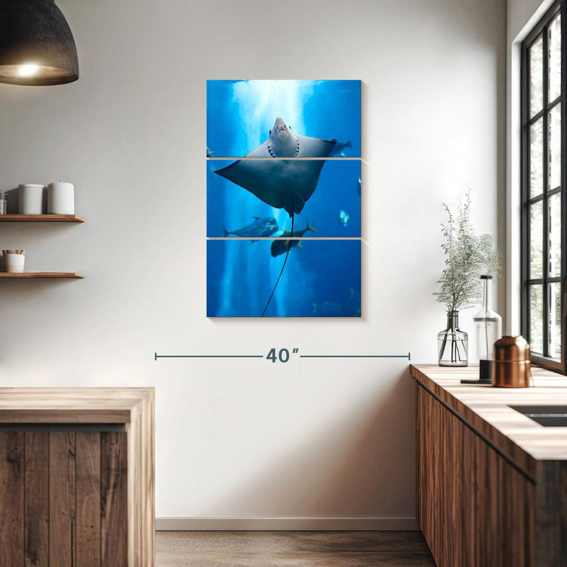 Brampt Manta Ray, 38" H x 24" W